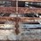l2---bumper-pull-livestock-trailer-image-7