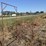 l1---livestock-entry-gate-image-1