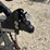 l2---2023-heavy-equipment-trailer-image-5