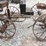buckboard-w/-4-steel-wheels-image-4