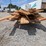 cedar-decking-&-hemlock-boards-image-4