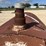 l3---tank-on-skids-image-3