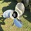 2016-premier-ptx-tritoon-image-8