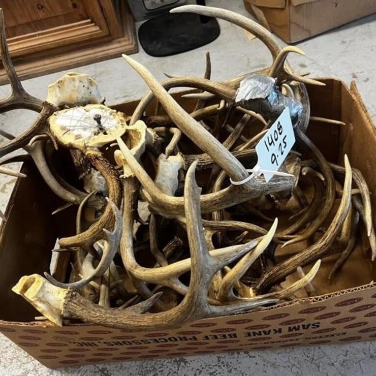 MS1 - Box Of Assorted Antlers