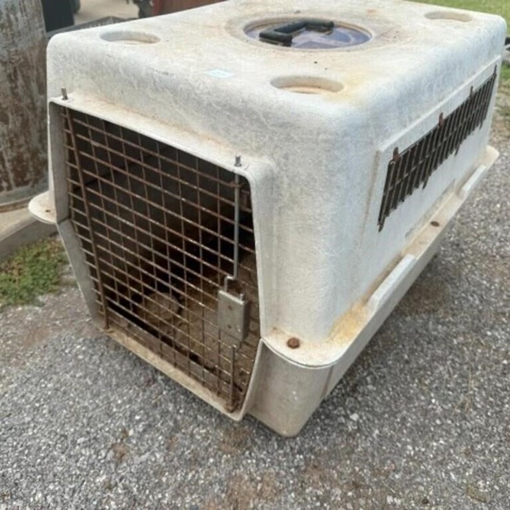 Pet Kennel