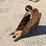 12"-backhoe-digging-bucket-image-4