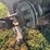 john-deere-24t-image-16