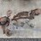 3/4-ton-&-2-ton-chain-pulls-image-1