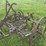 horse-drawn-cultivator-image-13