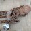 3/4-ton-&-2-ton-chain-pulls-image-5