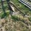 single-bottom-plow-image-2