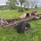 ford-truck-chassis-image-3