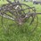 horse-drawn-cultivator-image-12