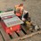 power-tool-lot---see-description-image-18