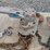 3/4-ton-&-2-ton-chain-pulls-image-7