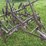 horse-drawn-cultivator-image-14