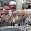 2011-peterbilt-365-image-82