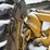 2018-deere-872gp-image-21