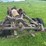ford-truck-chassis-image-20
