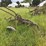 john-deere-2-image-7