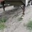 1995-wilson-grain-trailer-image-3
