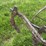 horse-drawn-cultivator-image-18