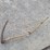 2--grass-scythes-image-7