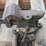 5--assorted-vises-image-10