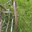 horse-drawn-cultivator-image-9