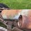 ford-truck-chassis-image-25
