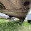 2008-great-dane-53'-x-100"-image-3