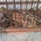 antique-lot---see-description-image-15