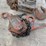 3/4-ton-&-2-ton-chain-pulls-image-4