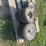 assortment-of-small-tires-and-rims-4--4.00x6,-2--2.00x4,-2--4.80/4.00-8-image-2