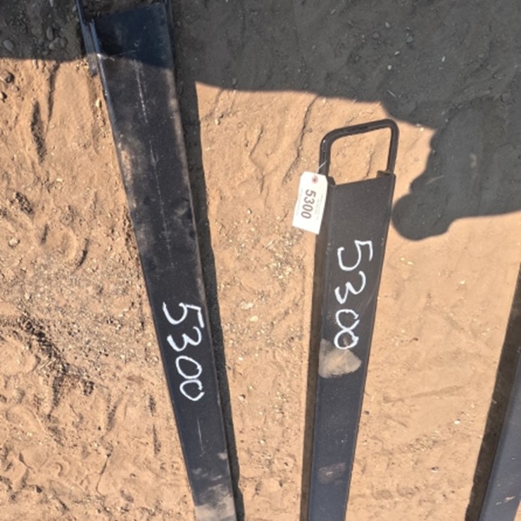 #5300 • 84" Fork Extensions Light Duty