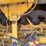1991-deere-670b-image-52