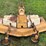 woods-rm500-2-image-3