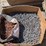 nails-&-construction-supplies-image-8