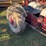 ford-9n-image-5