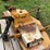 woods-rm500-2-image-9