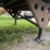 2003-utility-53'-x-102"-image-20