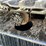 2020-cat-306e2-excavator-image-23