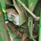 2001-john-deere-567-image-5