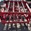 #9026-•-25'-dave-koenig-3-pt-folding-spike-tooth-leveler-image-14
