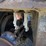 2017-kenworth-t880-image-35