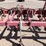 #9030-•-dave-koenig-3-pt-folding-gallina-tillage-tool-bar-image-25