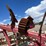 #9117-•-dave-koenig-10-tooth-folding-chisel,-3-pt-image-20