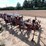 #9032-•-custom-3-pt-tillage-tool-bar-image-3