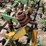 #9106-•-3-pt-field-cultivator,-4-row-custom-w/gallina-units-image-26