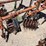 #9113-•-custom-4-row-cultivator-with-lilliston-lehman-units-image-5